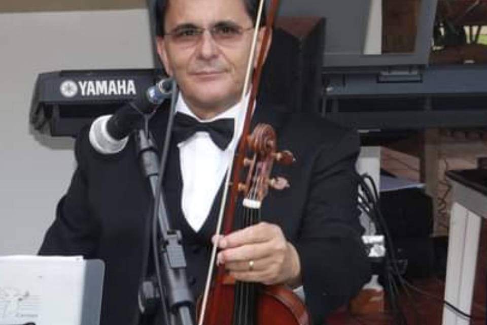 Violinista