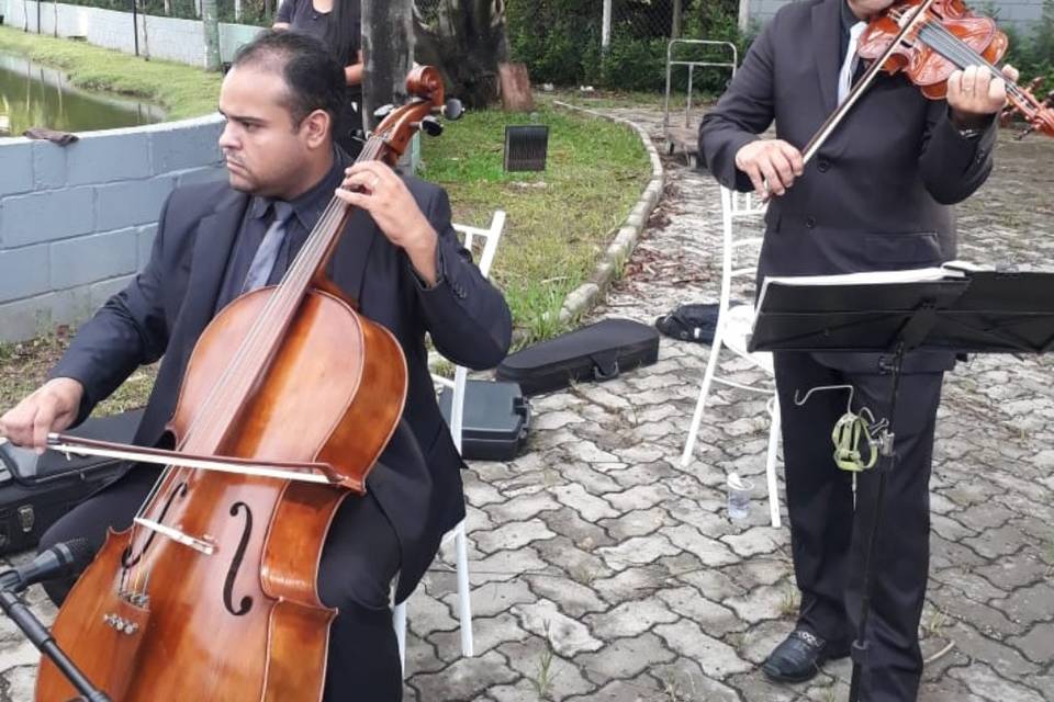 Cello & Violino