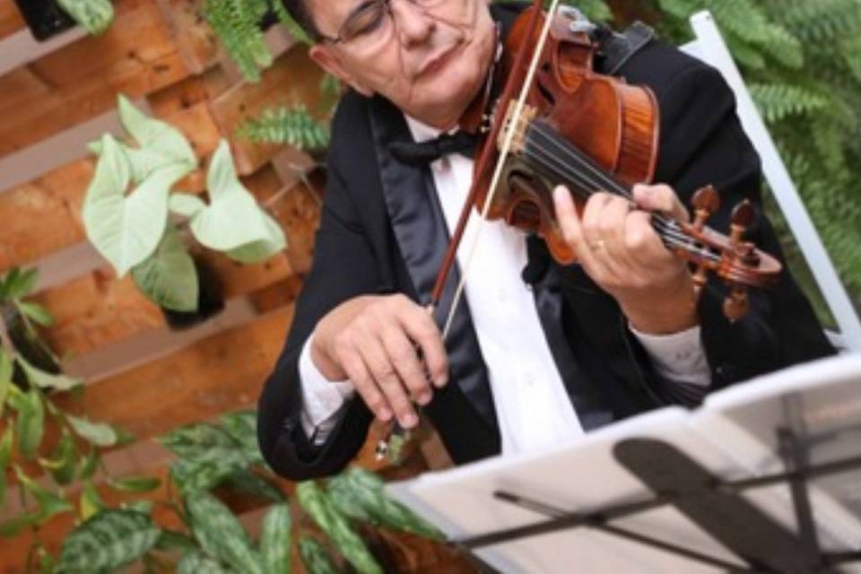 Violinista