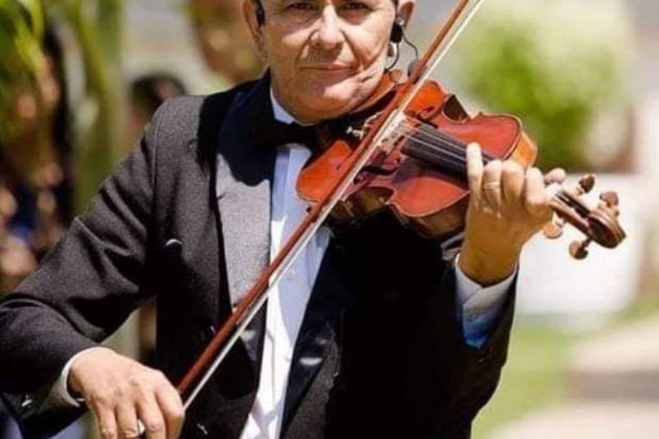 Violinista