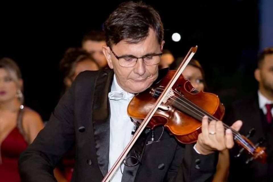 Cortejo no violino