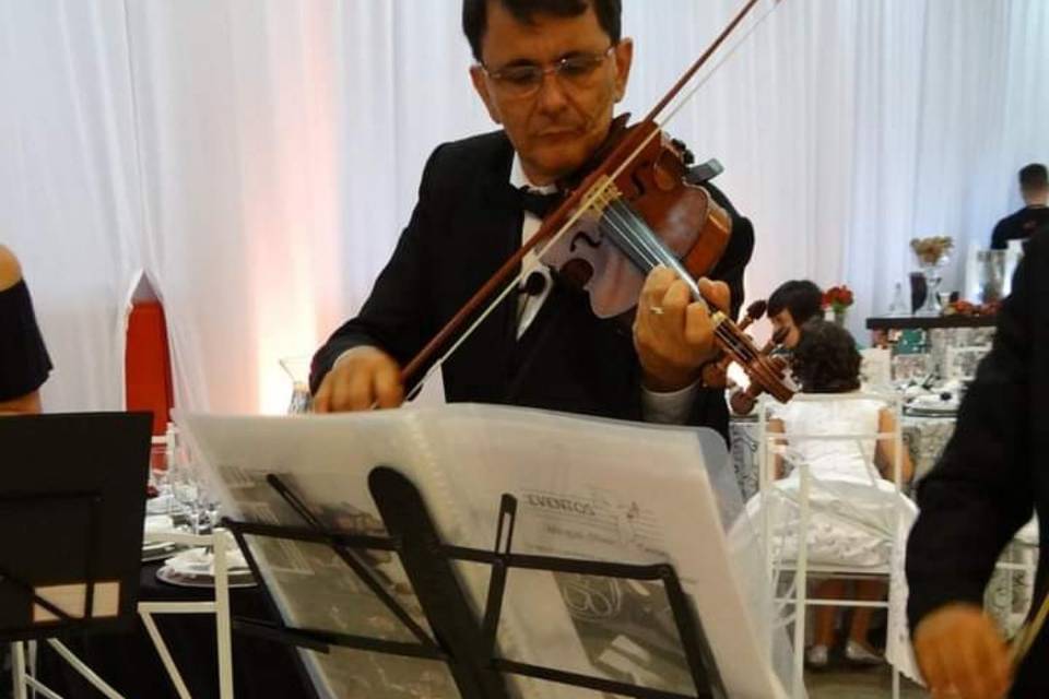 Violinista