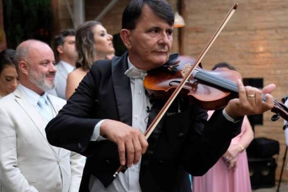 Violinista