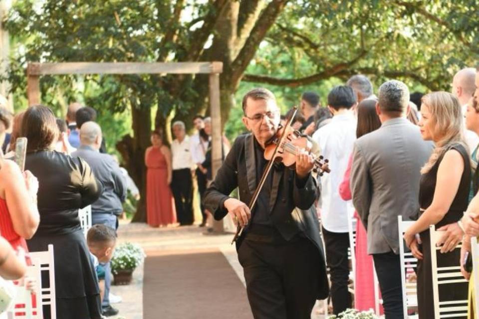 Violinista