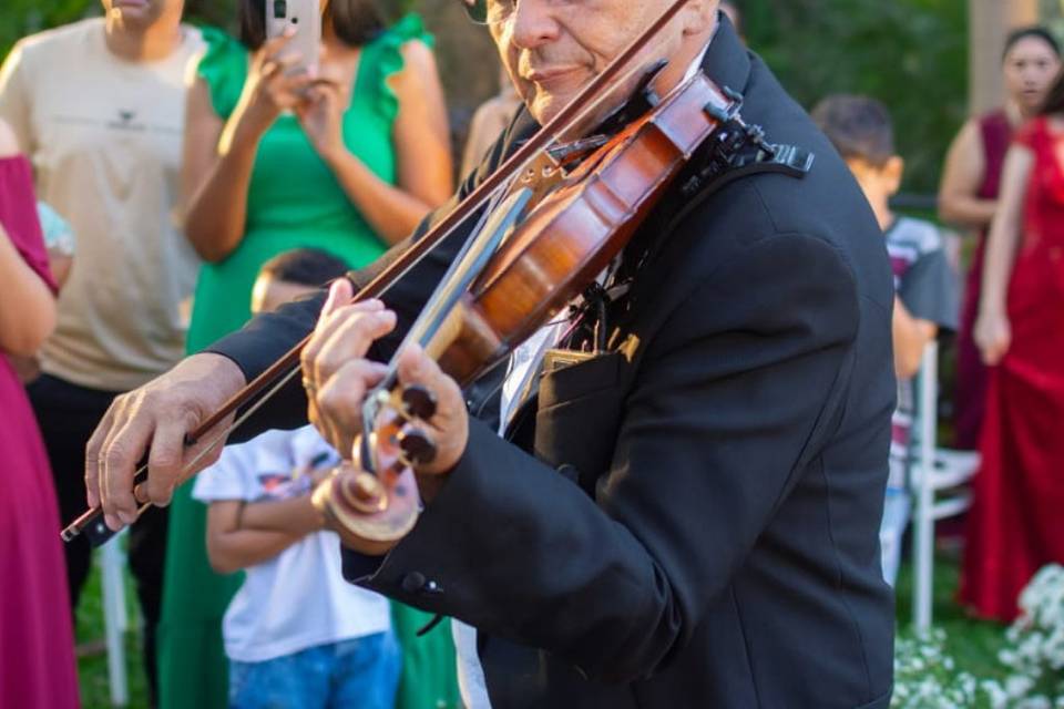 Violinista