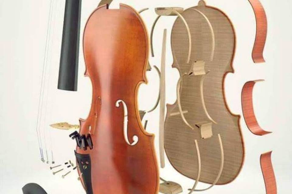 Violino