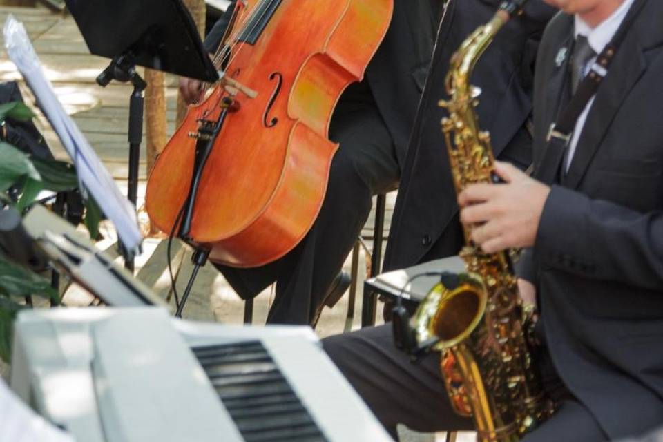 Músico pra casamento