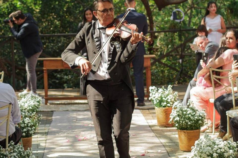 Violinista