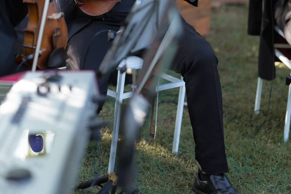 Violinista