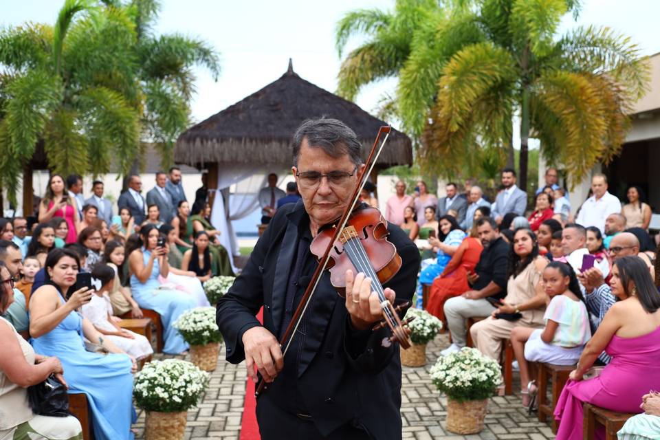 Violinista