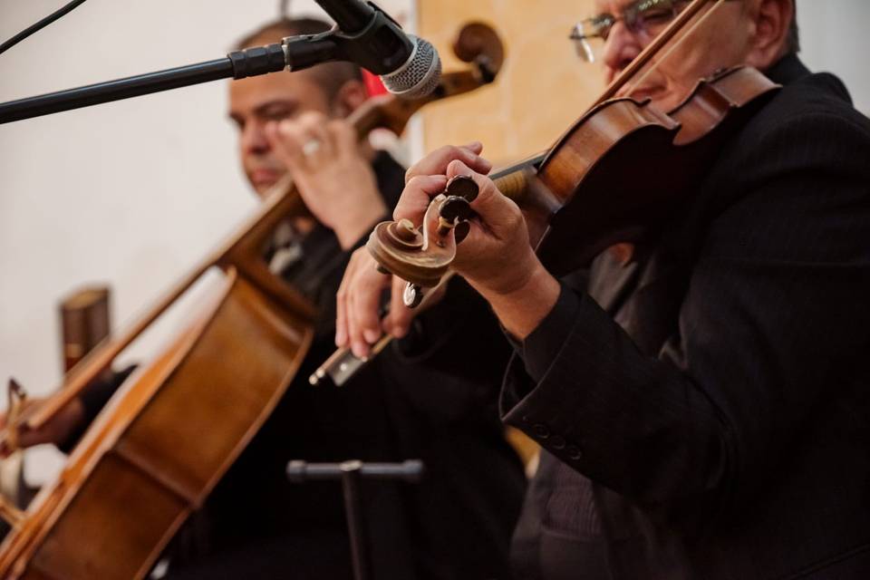 Cello & Violino