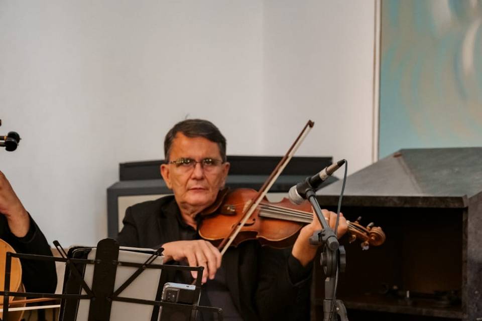 Violinista