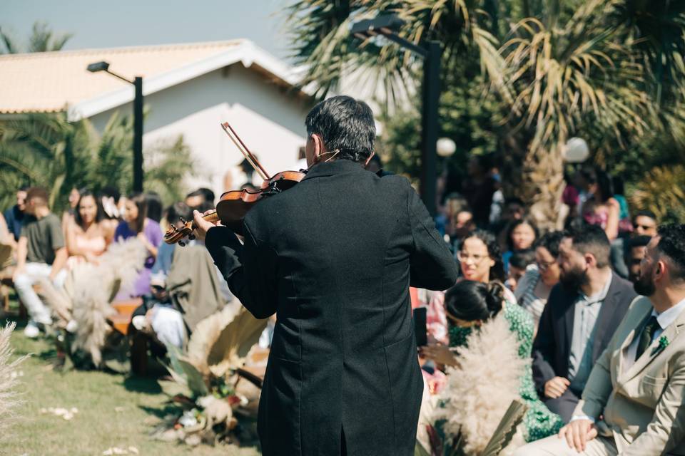 Cortejo/violino