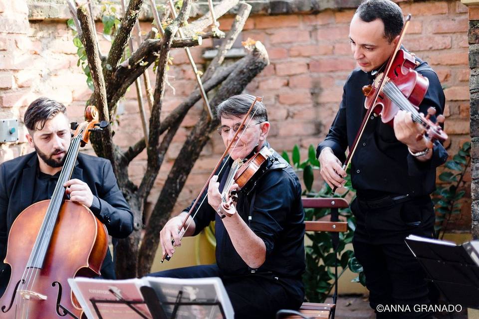 Trio de cordas...