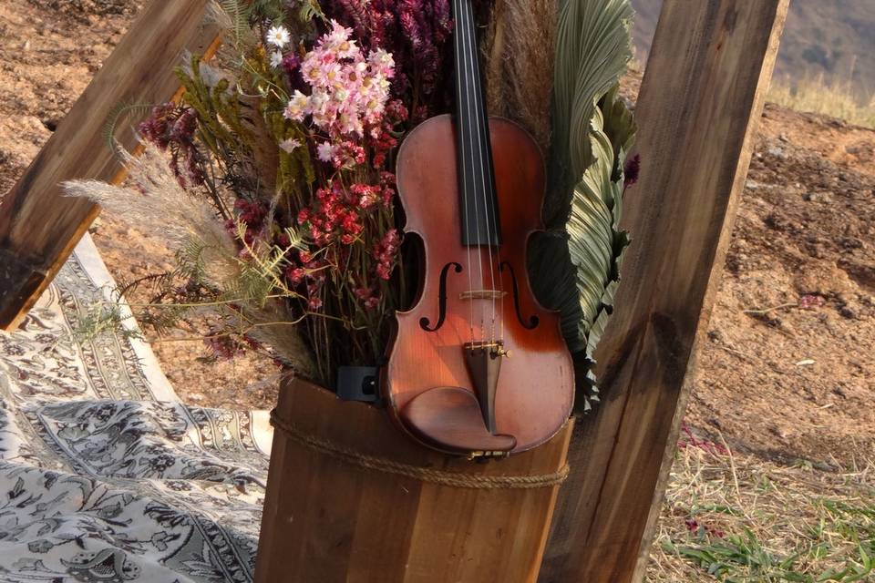 Violino