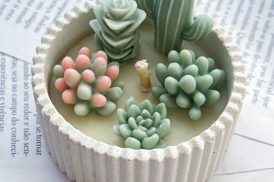 Mini jardim de suculentas