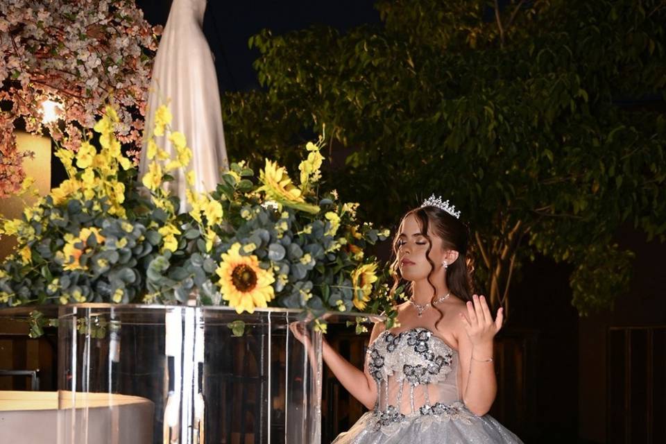 15 anos Ana Luíza