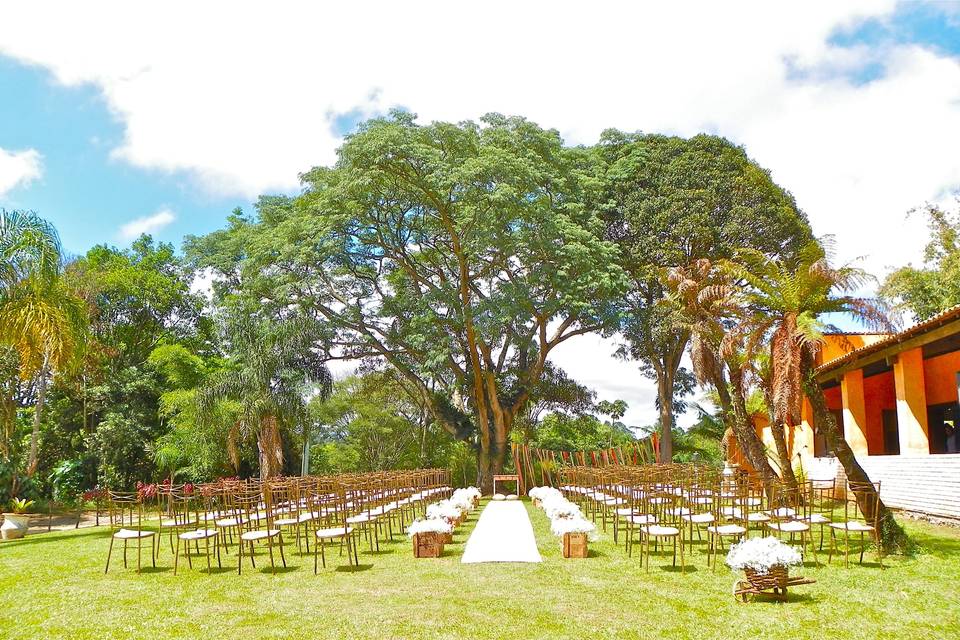 Jardim plantas ornamentais