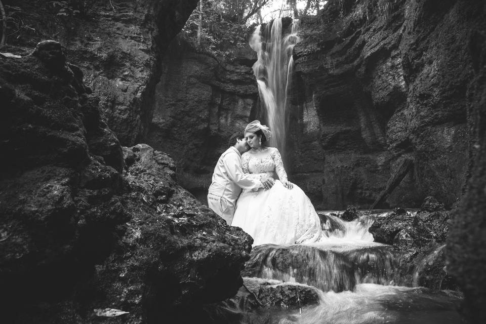 Trash the Dress