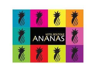 Hotel boutique ananás logo