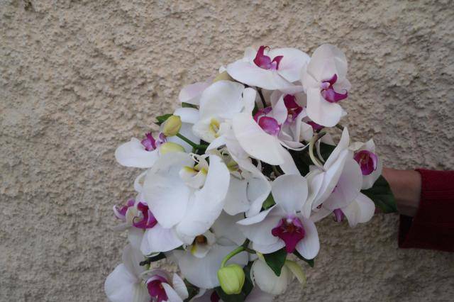 Buquê de Orquídeas