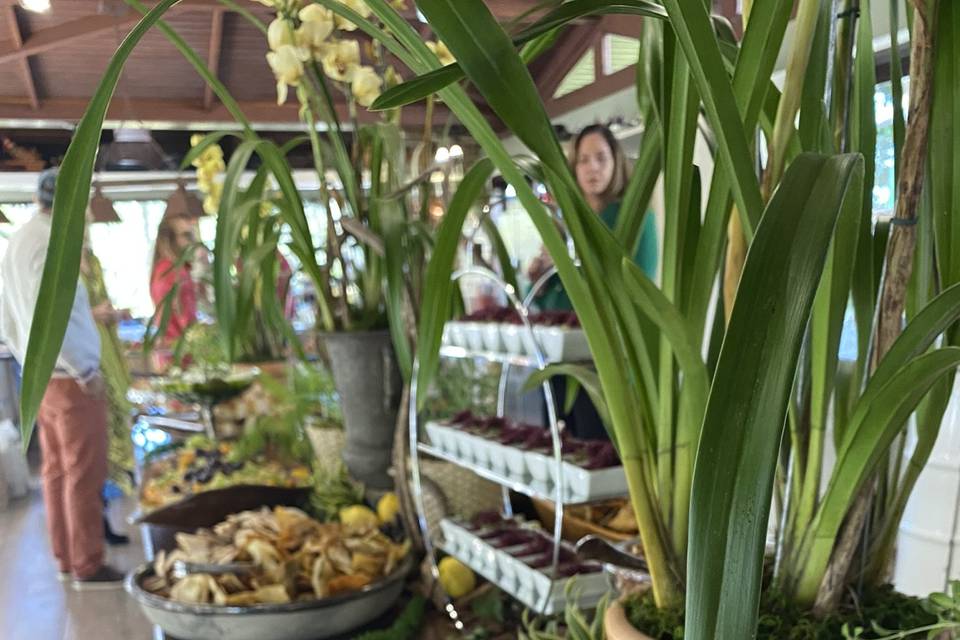 Buffet Entradas