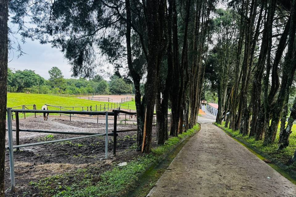 CAMPO