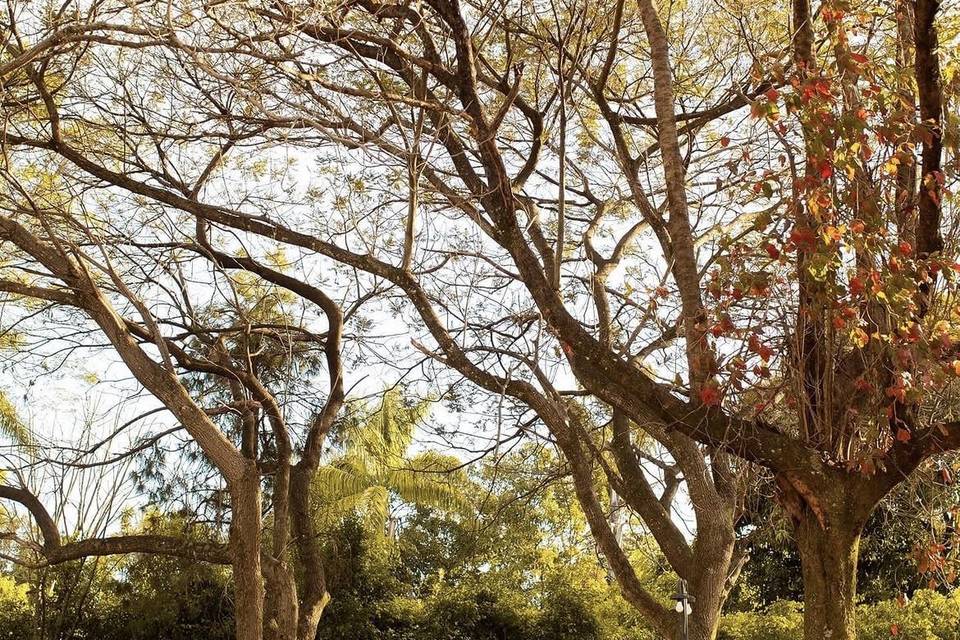 Jardim