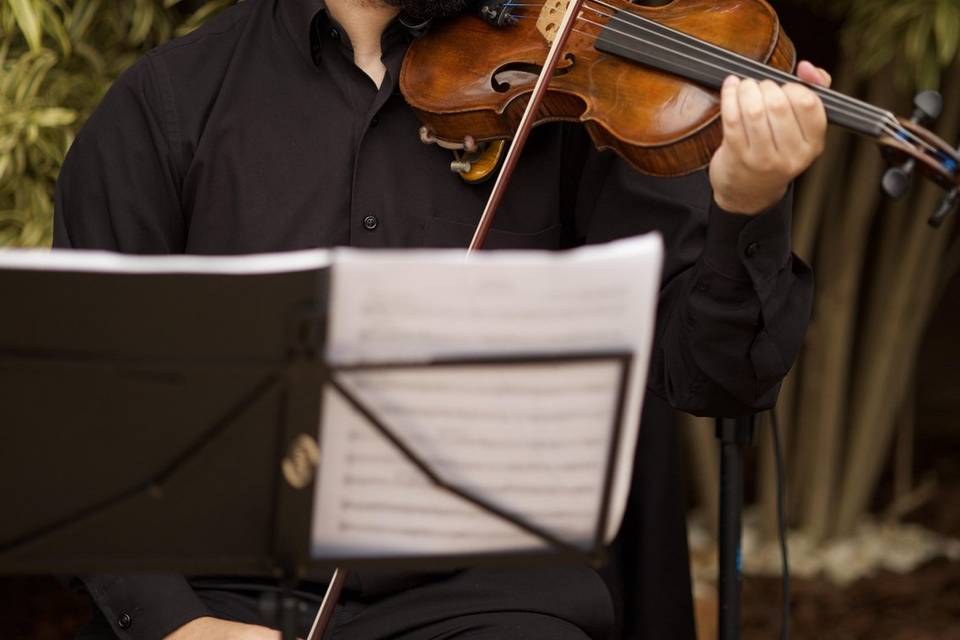 Violinista Mateus