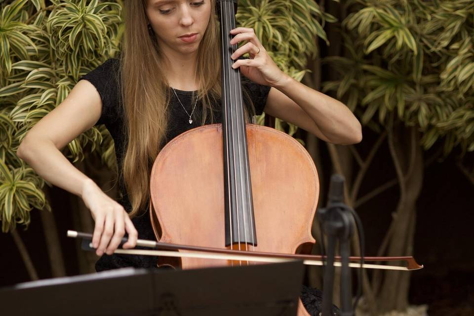 Violoncelista Leia