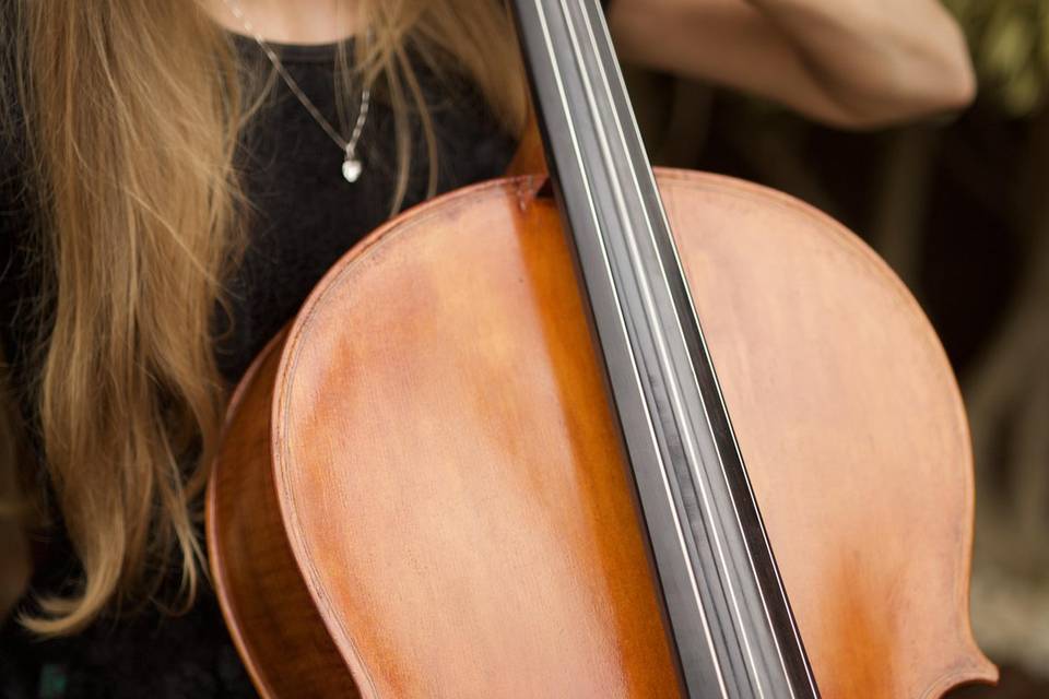 Violoncelo