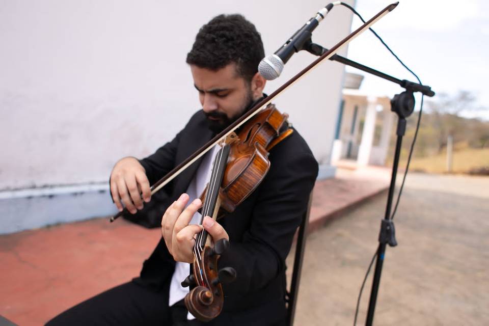 Violino Mateus