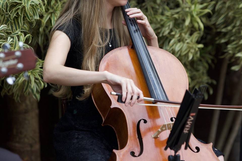 Cello