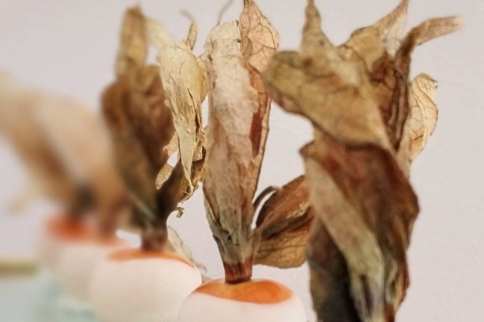 Physalis com chocolate e coco.