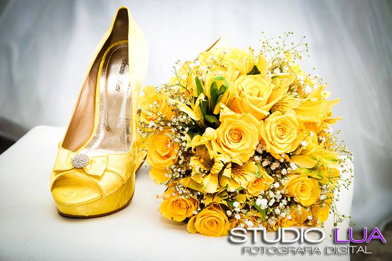 Studio Lua