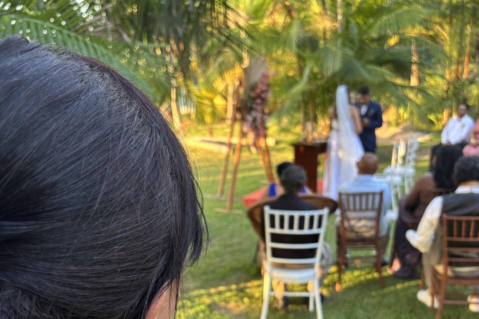 Contemplando os votos