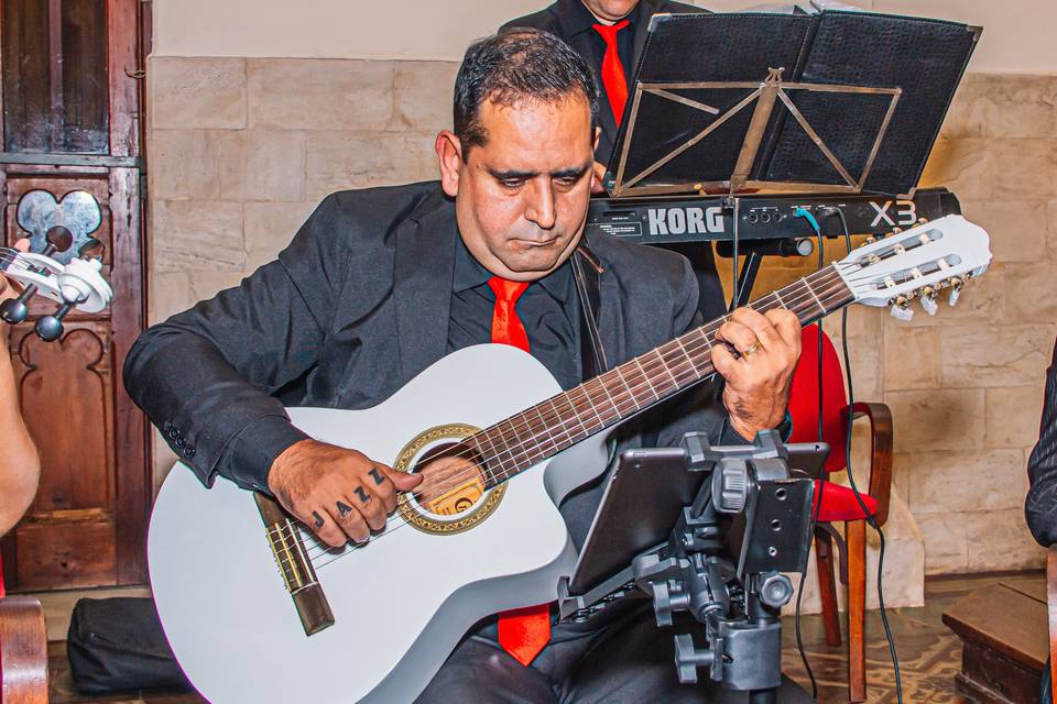 Contrabaixista e Violonista.