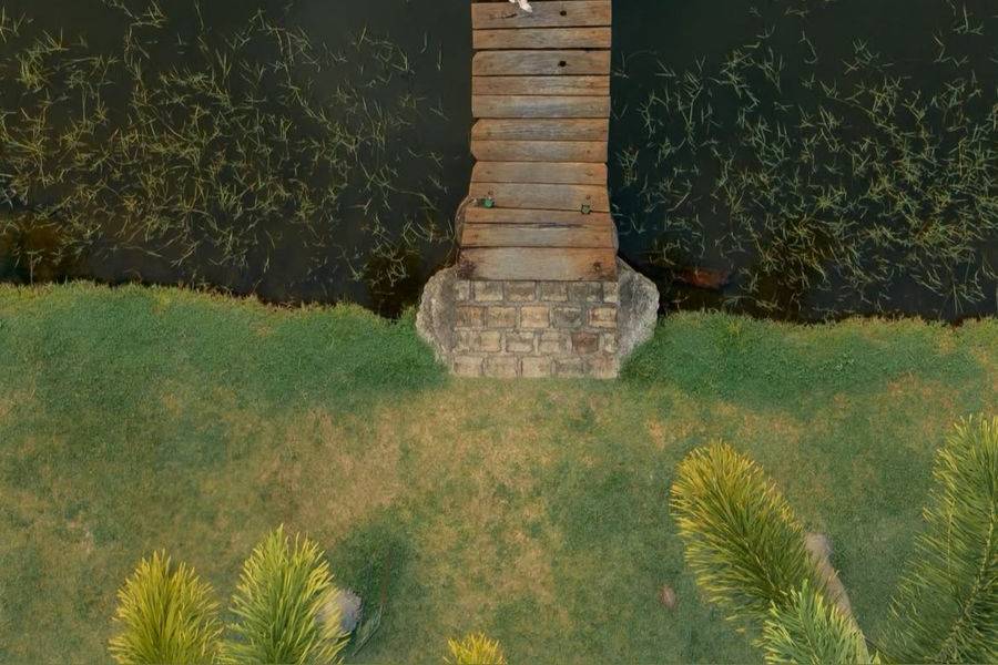Ponte do Lago