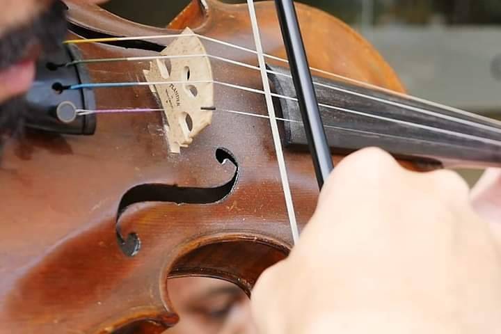 Violino e encantam