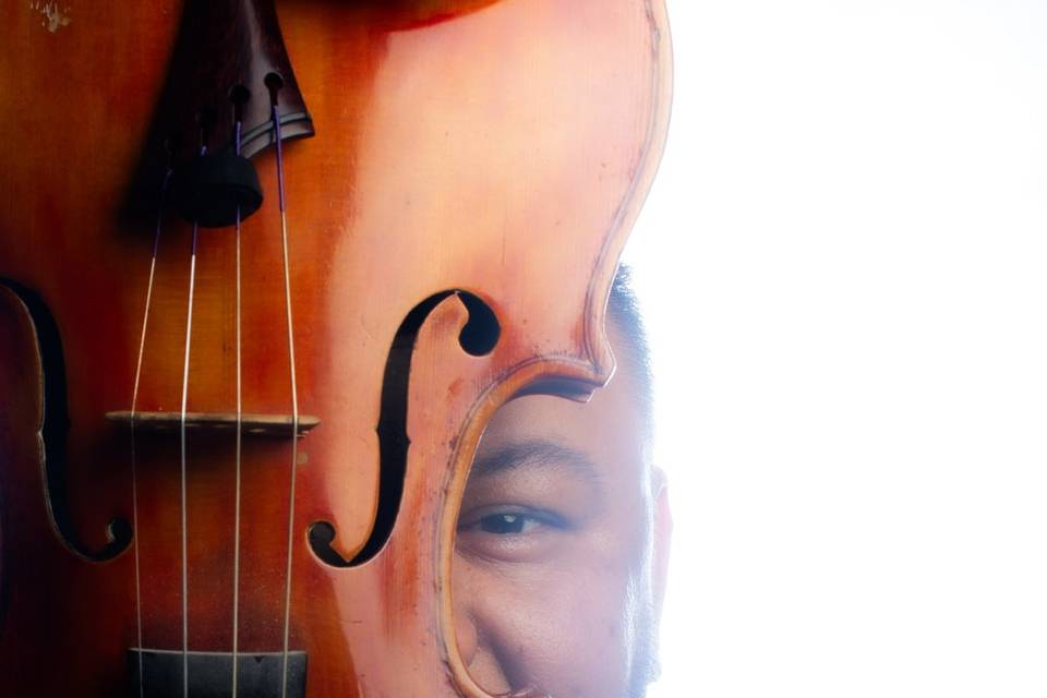 Violino