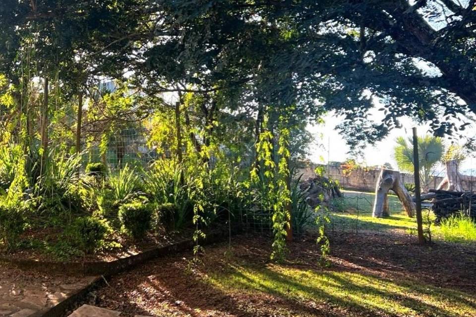 Muita natureza