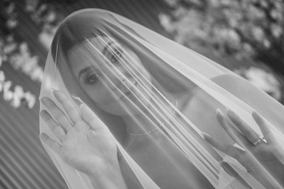 Fotógrafo de Casamento