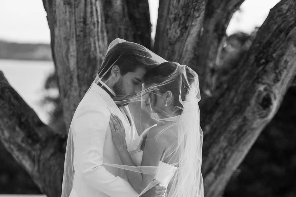 Fotógrafo de Casamento