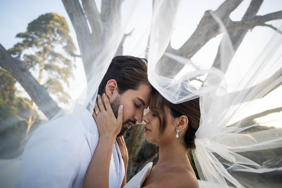 Fotógrafo de Casamento