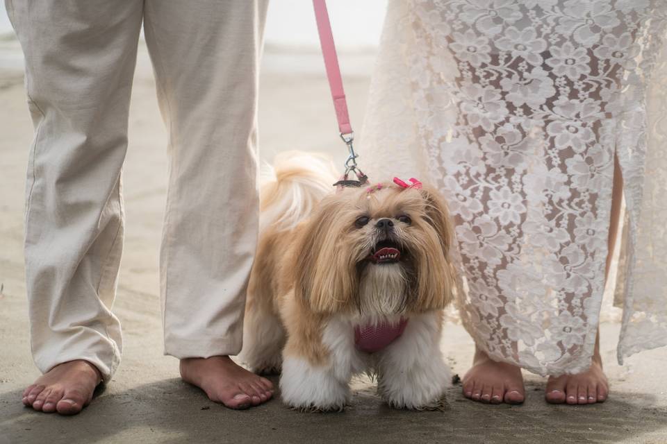 Fotografo de Casamento