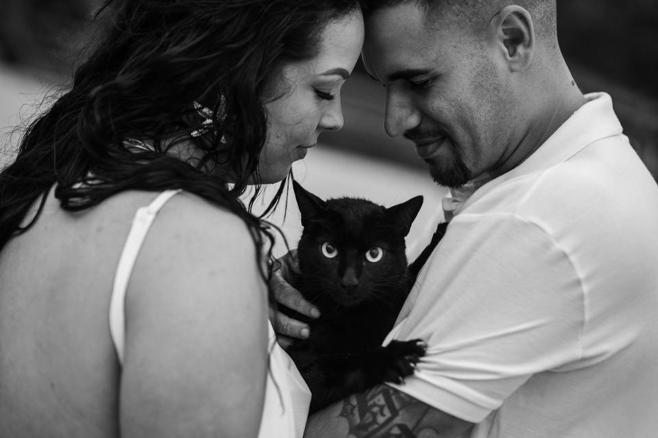 Fotógrafo de Casamento