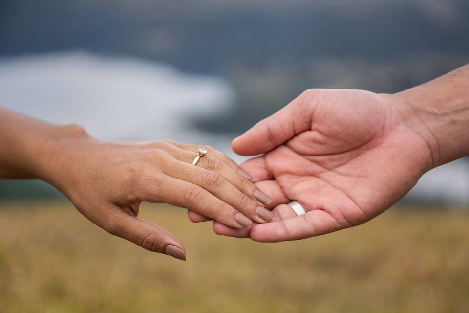 Fotografo de Casamento