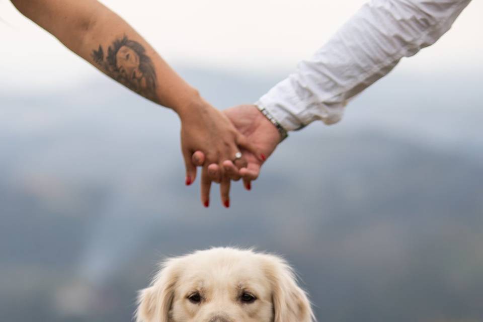 Fotógrafo de Casamento