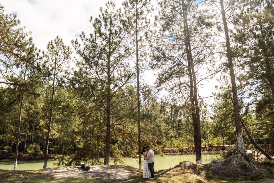 Fotografo de Casamento