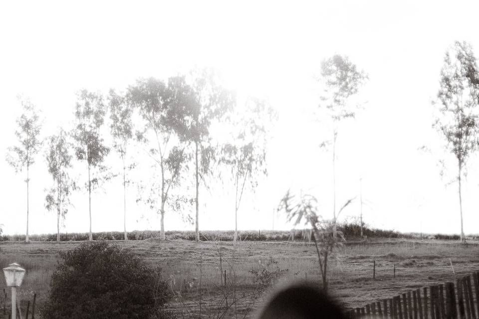 Fotografo de Casamento